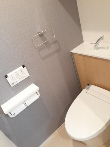 物件内観写真8　(落ち着いたトイレです)