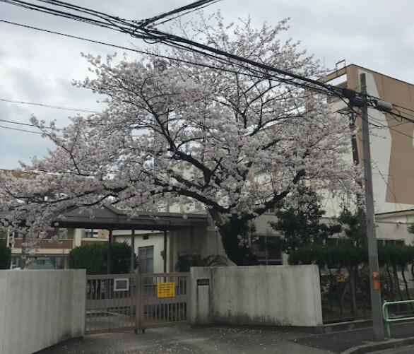 物件内観写真15　(名古屋市立老松小学校 220m)