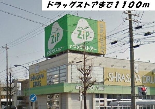 周辺環境(白沢ドラッグ八田店まで1100m)