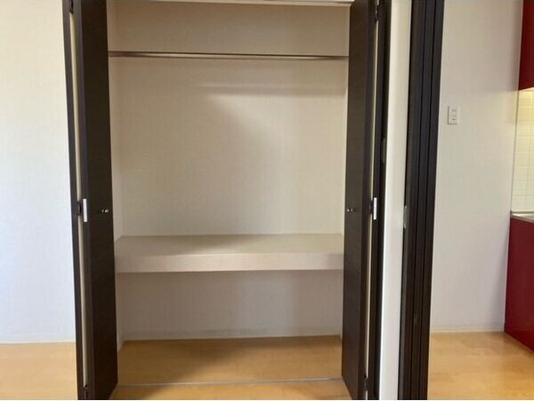 収納(※写真は同じマンションの違う部屋のものになります。)