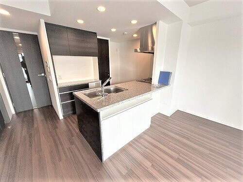 物件内観写真20　(システムキッチン(別アングル))