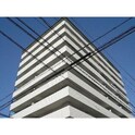 マイルストーン泉