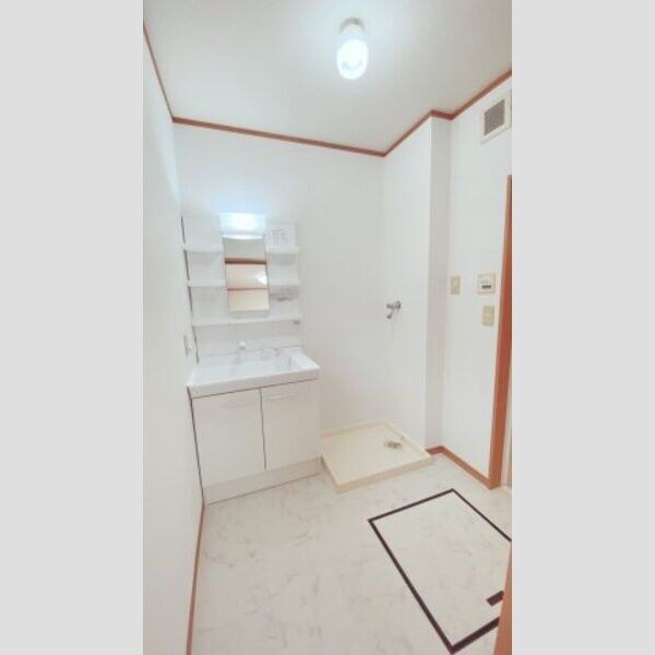 洗面・脱衣所(室内写真は別部屋の写真です。)