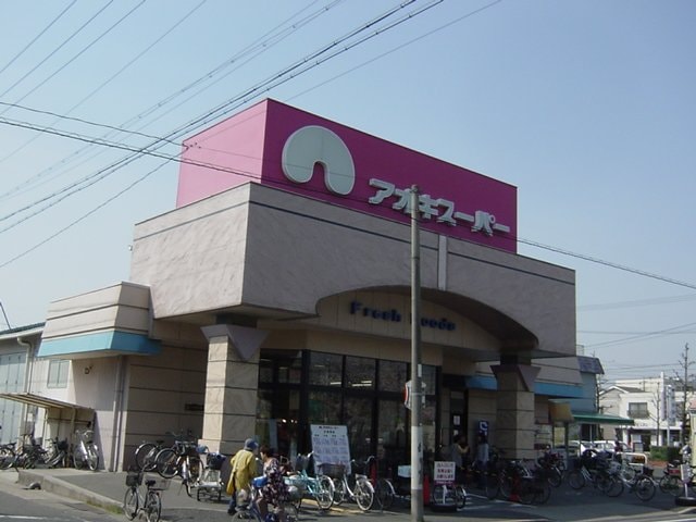 物件外観写真5　(アオキスーパー一色新町店まで1,787ｍ)
