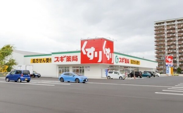 周辺環境(スギドラッグ大府中央店まで1100m)