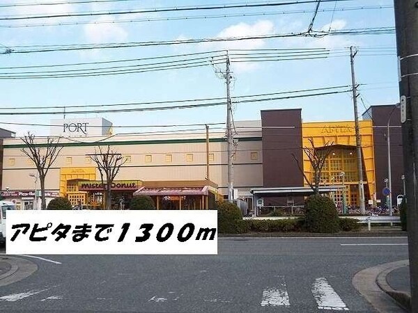 周辺環境(アピタまで1300m)