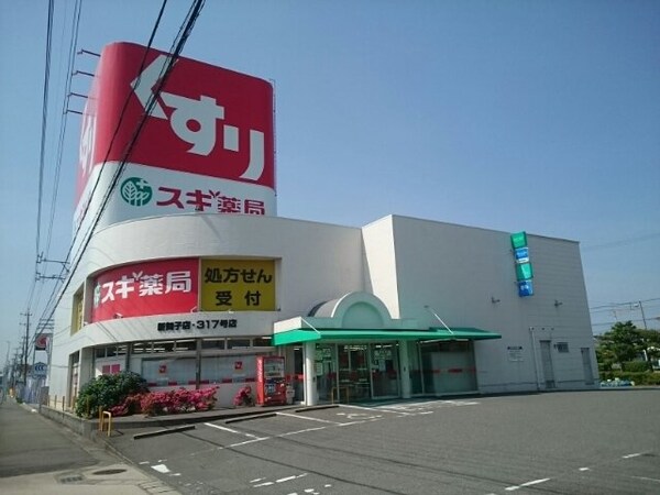 周辺環境(スギ薬局新舞子店まで160m)