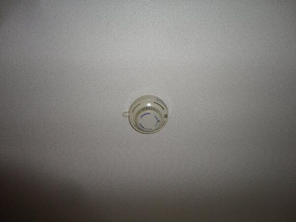 その他(その他)