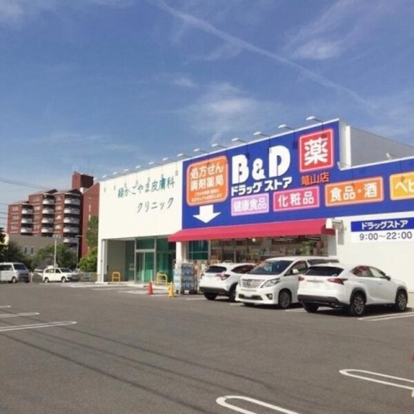 周辺環境(Ｂ＆Ｄドラッグストア　篭山店まで290m)