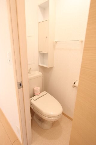 物件内観写真10　(落ち着いた色調のトイレです)