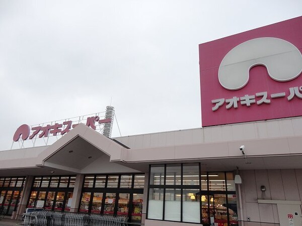 周辺環境(アオキスーパー大府店まで1000m)