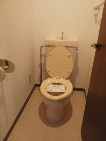 物件内観写真8　(落ち着いたトイレです)