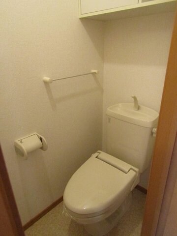 物件内観写真8　(落ち着いた色調のトイレです)