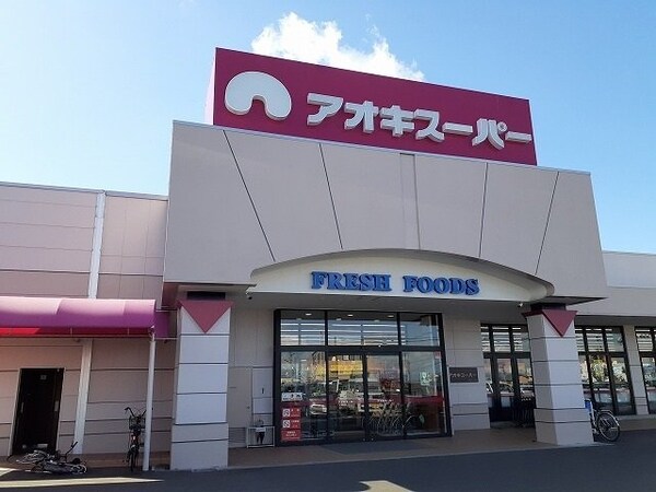 周辺環境(アオキスーパー清城店まで810m)