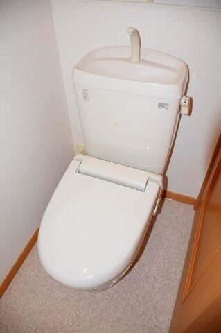 物件内観写真13　(落ち着いたトイレです)