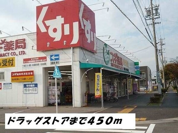 周辺環境(スギ薬局まで450m)