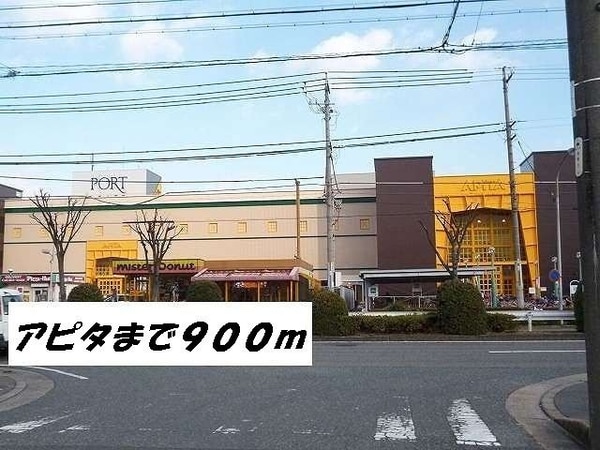 周辺環境(アピタまで900m)