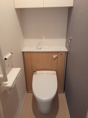 物件内観写真8　(落ち着いた色調のトイレです)