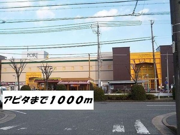 周辺環境(アピタまで1000m)