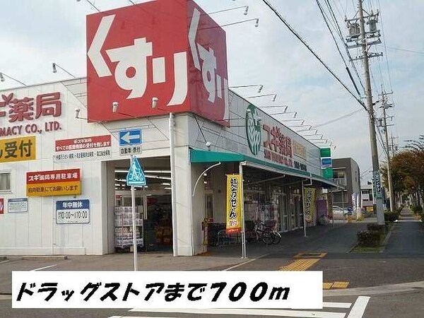周辺環境(スギ薬局まで700m)