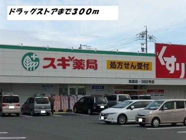 周辺環境(スギ薬局まで300m)