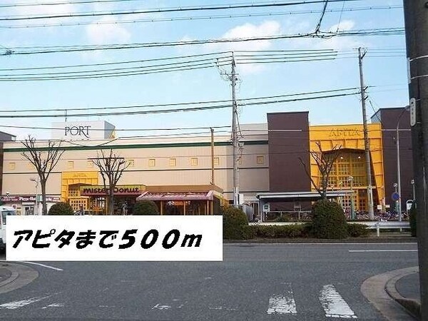 周辺環境(アピタまで500m)