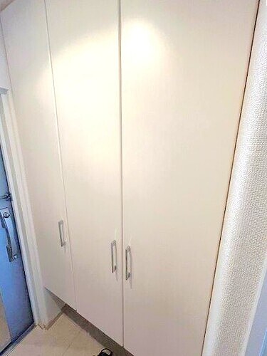 物件内観写真21　(シューズクロゼットあり)