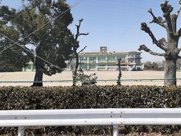 周辺環境(南部小学校まで450m)