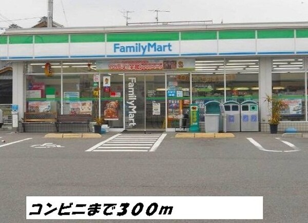 周辺環境(ファミリーマートまで300m)