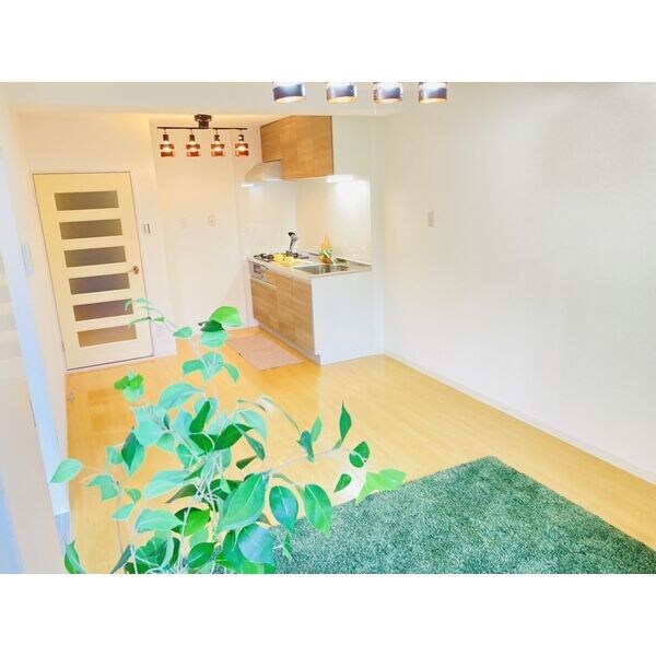 内装他(※写真は同じマンションの違う部屋のものになります。)