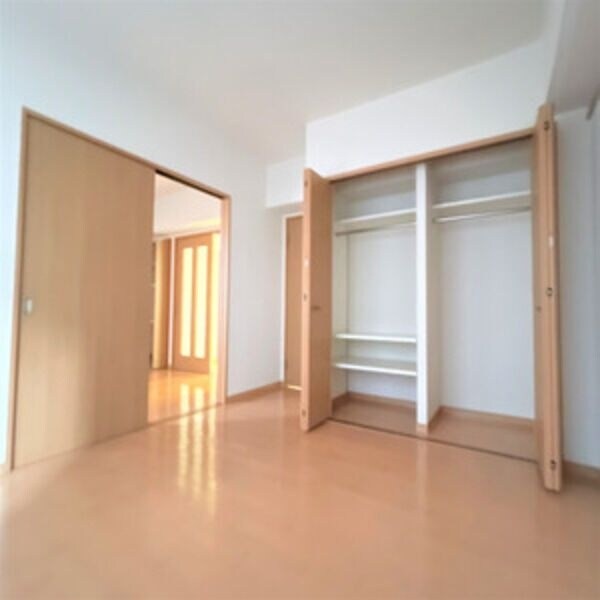 収納(※写真は同じマンションの違う部屋のものになります。)
