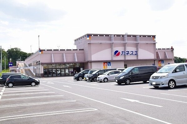 周辺環境(カネスエ徳重店まで260m)