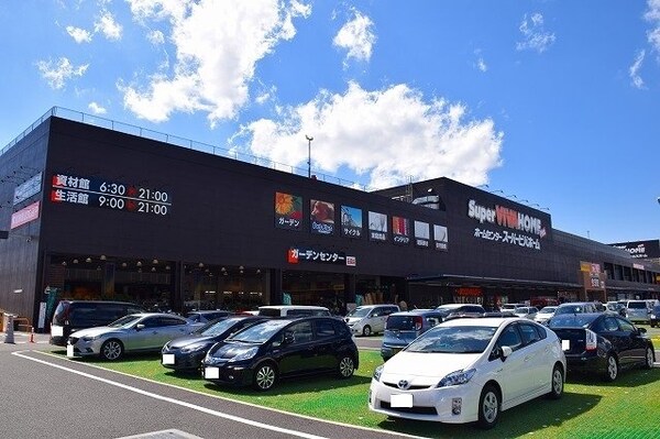 周辺環境(スーパービバホーム名古屋南店まで700m)