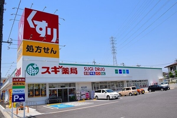 周辺環境(スギドラッグ笠寺南店まで250m)