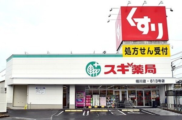 周辺環境(スギドラッグ相川店まで850m)