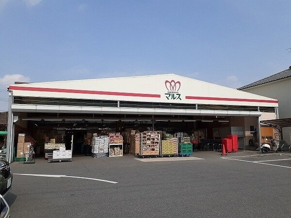 周辺環境(マルス本店まで169m)