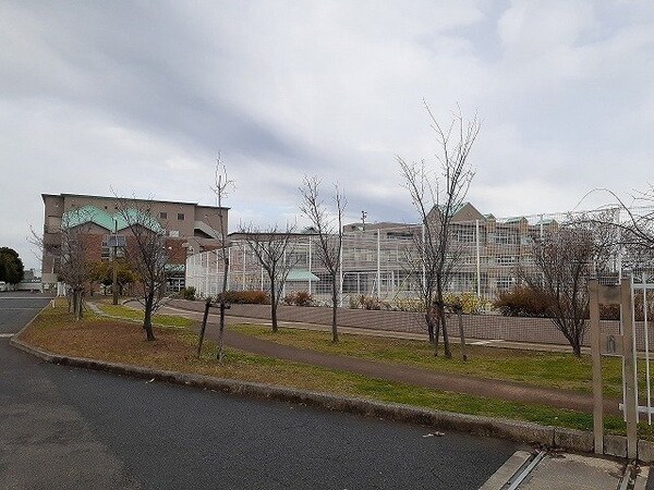 周辺環境(さくら小学校まで1100m)