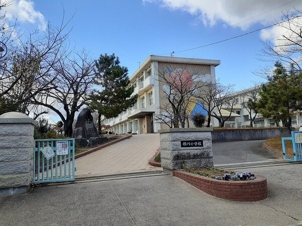 周辺環境(半田市立横川小学校まで400m)