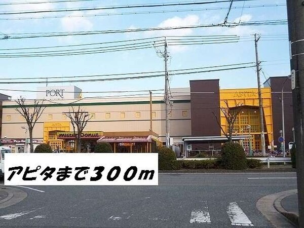 周辺環境(アピタまで300m)