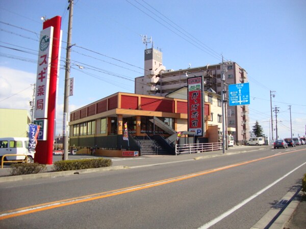 周辺環境(かっぱ寿司新川店まで534ｍ)