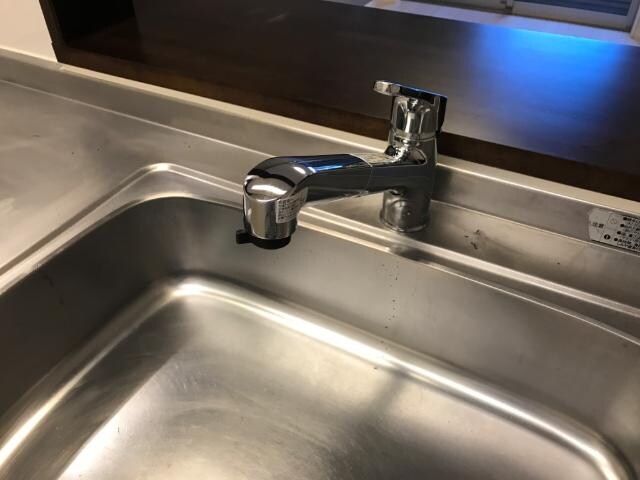 物件内観写真19　(シャワー水栓)