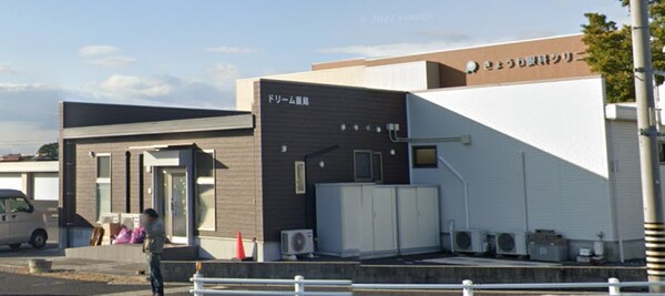 周辺環境(ドリーム薬局 共和店 1231m)
