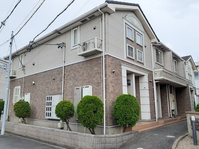 フリージア