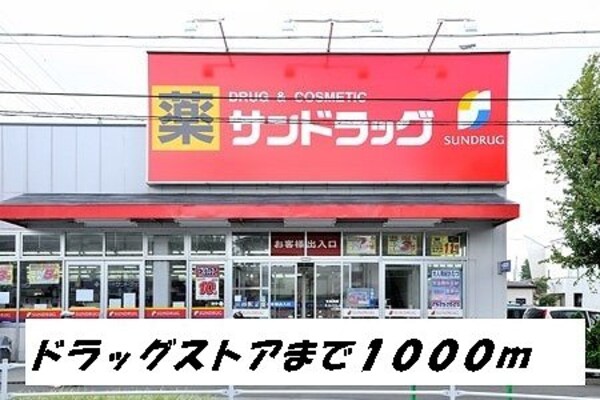 周辺環境(サンドラッグまで1000m)