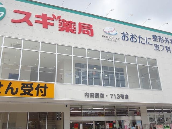 周辺環境(スギ薬局内田橋店まで900m)