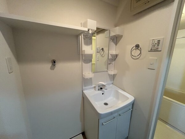 洗面・脱衣所(室内写真は別部屋の写真です。)