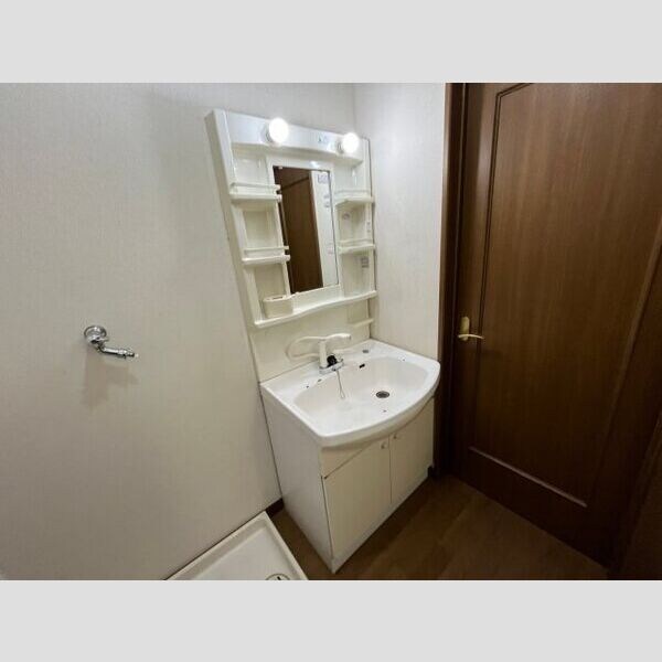 洗面・脱衣所(室内写真は別部屋の写真です。)