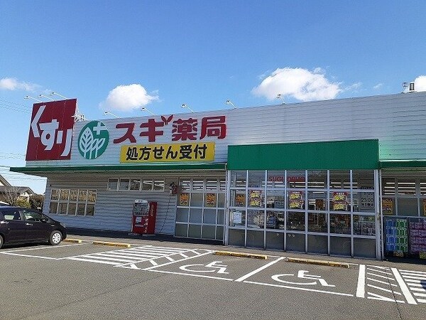 周辺環境(スギ薬局岩滑店まで750m)