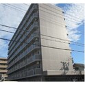 willDo稲永