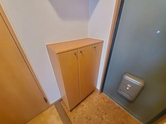 物件内観写真14　(シューズボックス)